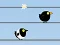 Gone with the Birds — free online game