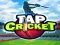Tap Cricket — free online game