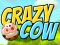 Crazy Cow — free online game