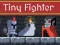 Tiny Fighter Unstoppable Run — free online game