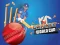 Cricket World Cup Game — free online game