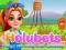 Holubets Home Farming and Cooking — free online game
