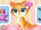 Pets Beauty Salon — free online game