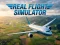 Real Flight Simulator — free online game