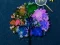 Hidden Stars — free online game