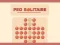 Peg Solitaire