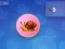 Snail Clicker — free online game