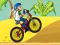 BMX Boy Online — free online game