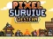 Pixel Survive Western — free online game