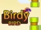 Birdy Bird — free online game