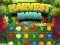 Harvest Mania — free online game
