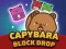 Spill Capybara Block Drop online