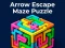 Arrow Escape - Maze Puzzle — free online game