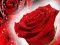 Red Roses — free online game