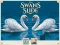 Swans Slide — free online game