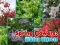 Spring Flowers: Hidden Objects — free online game