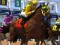 Horse Racing — free online game