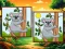 Animal: Find The Differences — free online game