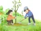 Arbor Day Puzzle — free online game