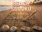Beach Sudoku — joc online gratuit