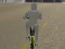 Bicycle Simulator — free online game