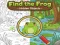Find the Frog Hidden Objects — free online game