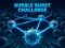 Bubble Burst Challenge — لعبة مجانية اون لاين