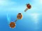 Crazy Machines — free online game