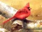 Art Birds Puzzle — free online game
