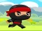Ninja — free online game