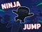 Ninja jump — free online game
