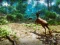  Hunter 3D — free online game