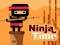 Ninja Time — free online game