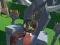 Lazy Orcs: Arena — free online game