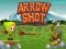Trò chơi Arrow Shoot trực tuyến