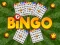 Bingo — ücretsiz çevrimiçi oyun