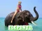 Elephants Puzzle — free online game