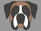 Doggy Face Coloring — free online game