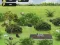 Craftsman Land — free online game