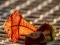Chestnut Nature Autumn Jigsaw – tasuta veebimäng