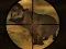 Classical Hippo Hunting — free online game