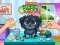 Cluiche Funny Puppy Care ar líne