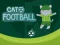 Cat Football — free online game