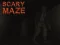 Scary Maze 3D — free online game