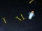 5 Minutes in Space — free online game