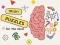 Brain Puzzles Quests — free online game