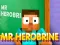 Mr Herobrine — free online game