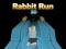 게임 Rabbit Run 3D 온라인