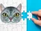 Abyssinian Puzzle Challenge — free online game