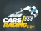 Cars Racing Pro — free online game
